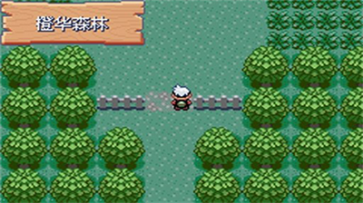 精灵宝可梦破解版无限钻石图2