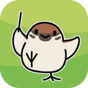 鸟之音游戏汉化版