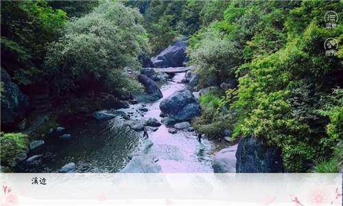 缘起念归期手机版图4