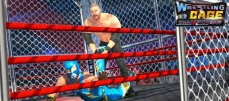 摔跤之笼冠军图2