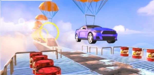 不可能的空中汽车特技图3