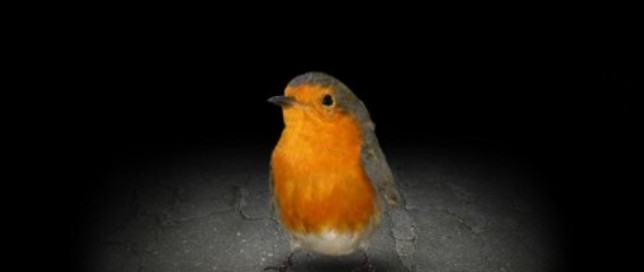 轮回Mitoza汉化版图1