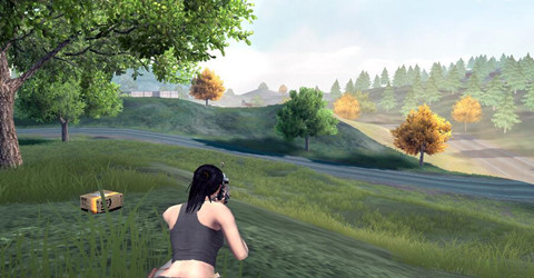 吃鸡玩法的游戏