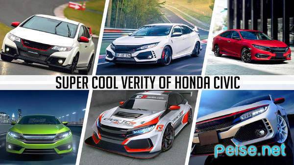 思域模拟器中文版图4