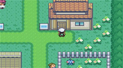 精灵宝可梦破解版无限钻石图3