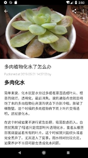 花卉园艺百科图4