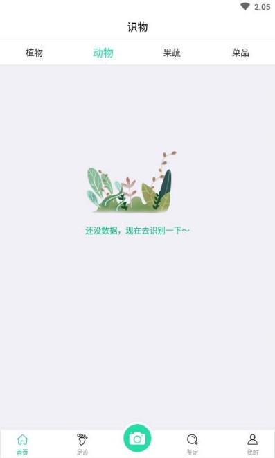 趣植物图3