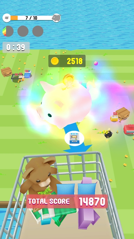 Shopping a GOGO!图3