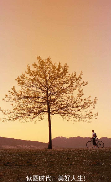 美图分享小影社区图3