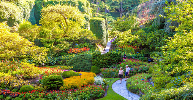 经营花园领红包的游戏