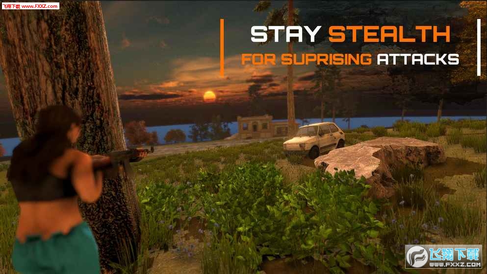 Battle Game Royale中文版图1