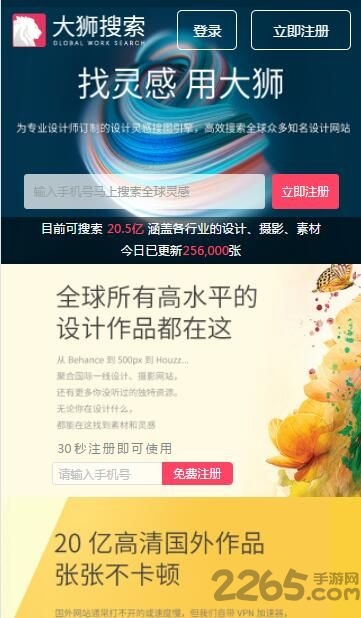 大狮搜索客户端图3