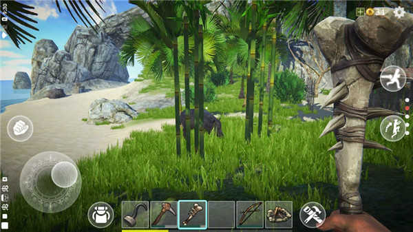 最后的海盗岛屿生存联机版图3