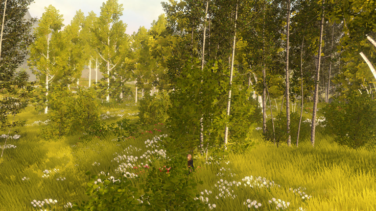 wilderless荒野图4