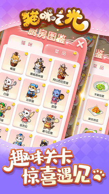 猫咪之光图1