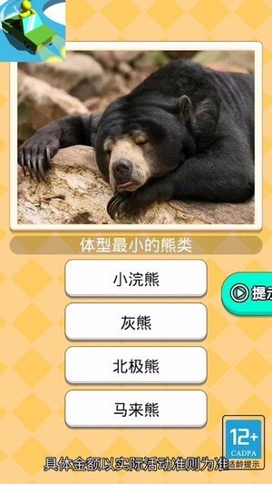 恐龙小车场红包版图3