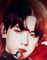 快穿像蔷薇一样锋利