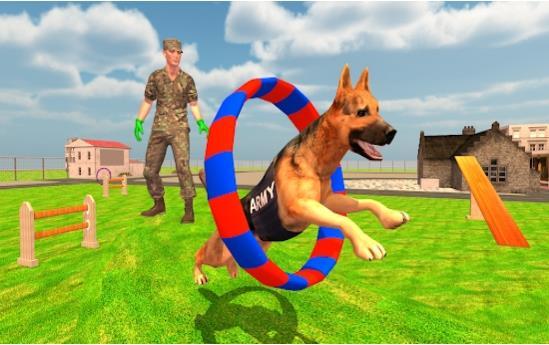 美军间谍犬训练图2