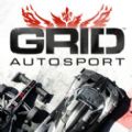 grid autosport中文版