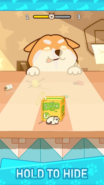 别被柴柴发现图5