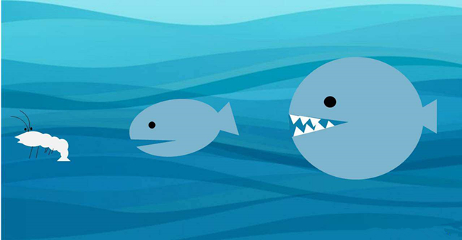 吞噬类型的红包版游戏