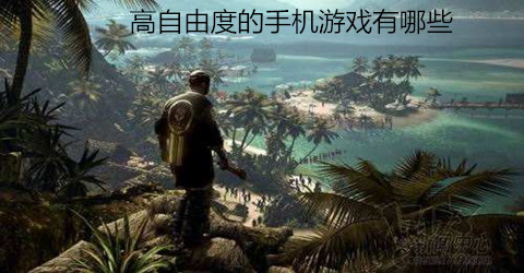 高自由度的手机游戏推荐