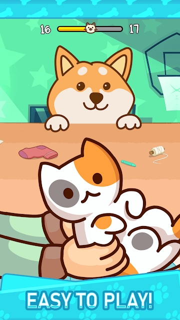 别被柴柴发现图2