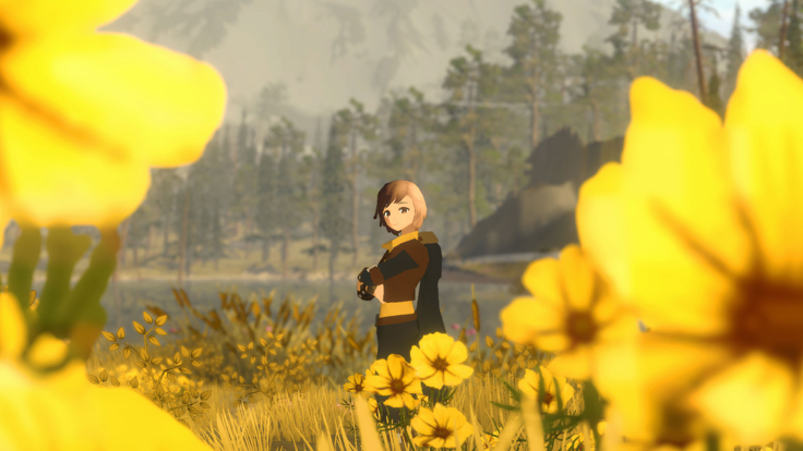 wilderless荒野图7