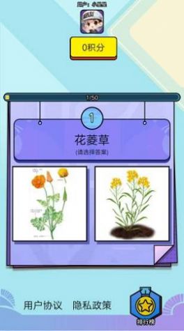 爱上鲜花赚钱版图2