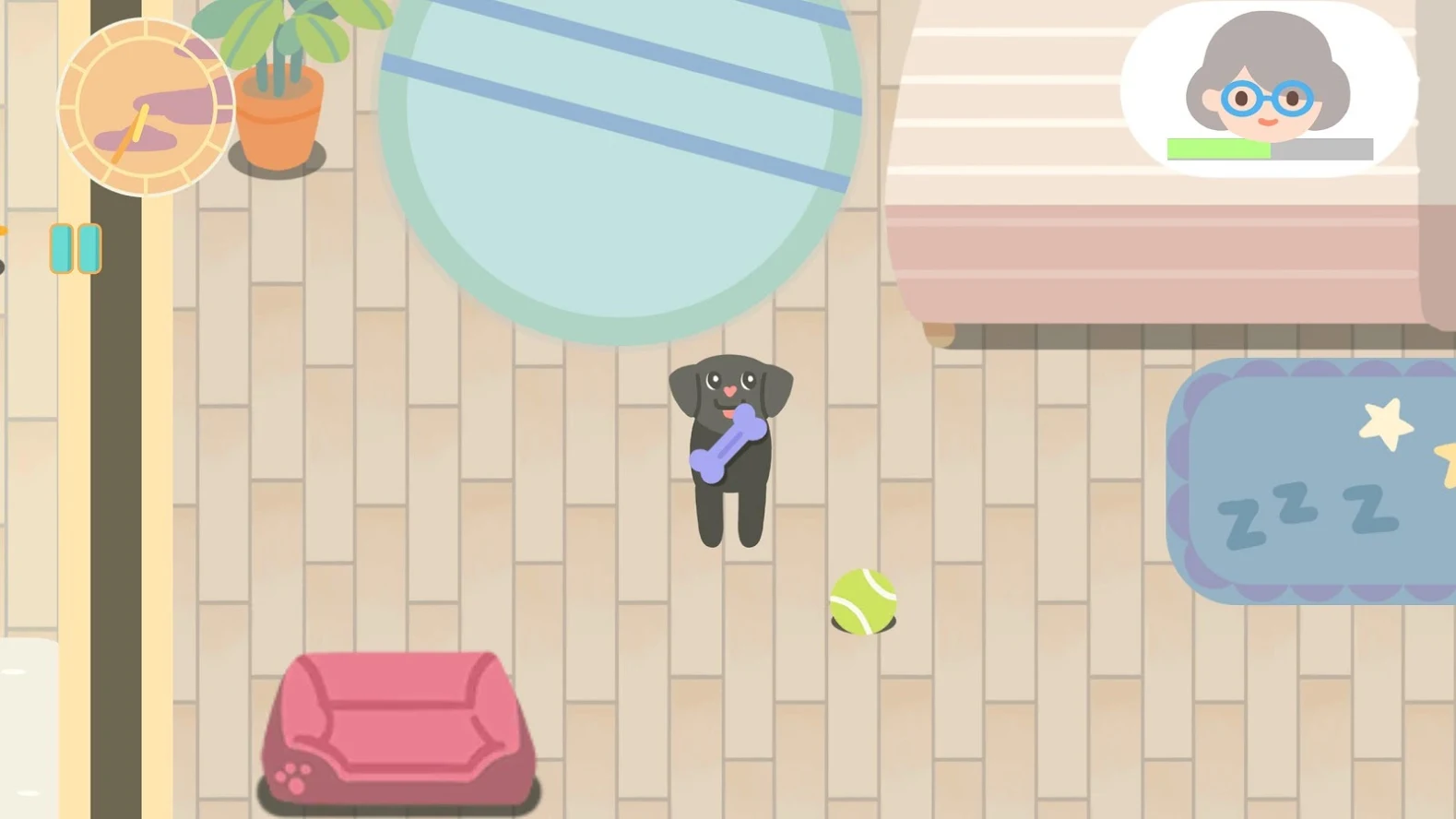 好狗狗带来欢乐图5