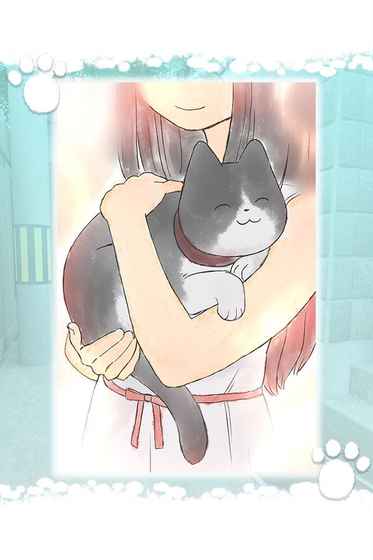 迷路猫咪的故事图2