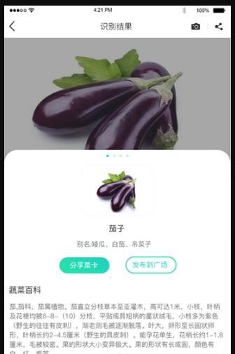 识菜君图2