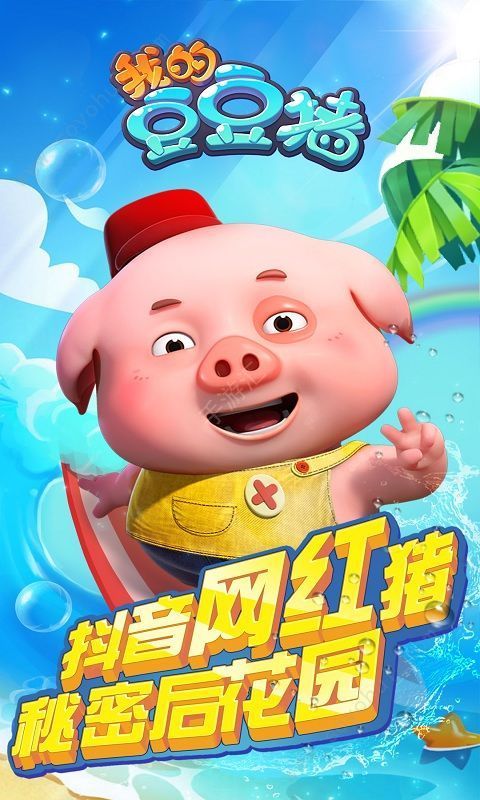 我的豆豆猪2图3