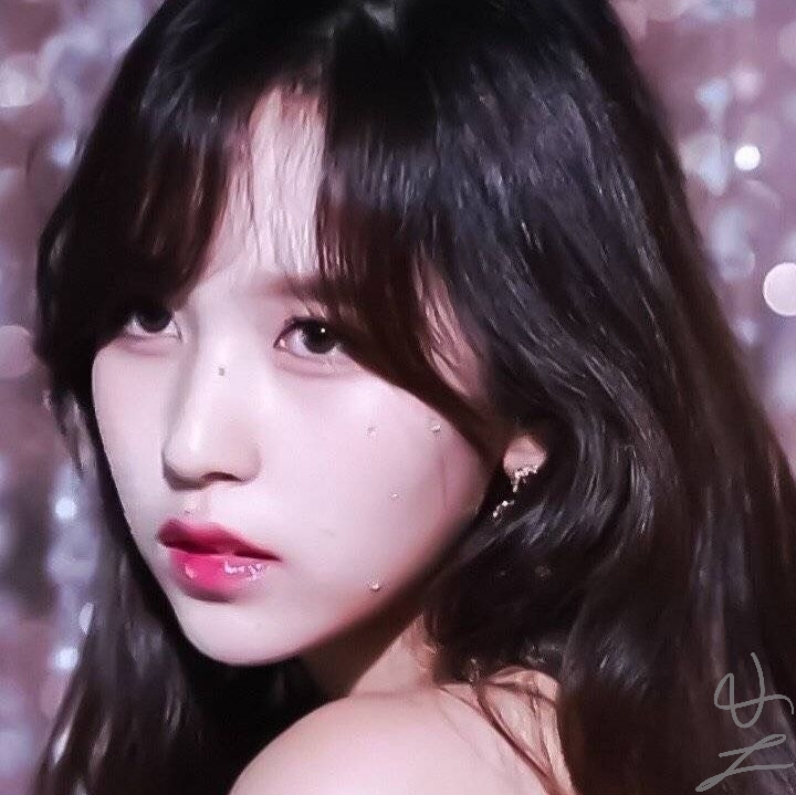 风月无归处橙光最新版