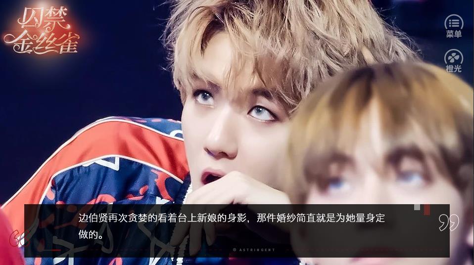 囚禁金丝雀手机版图3