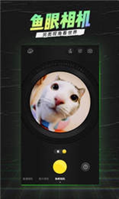 搞怪多变相机图4