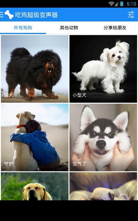 吃鸡超级变声器图3