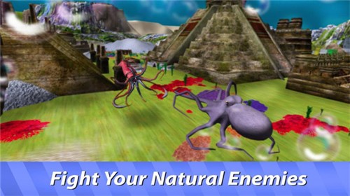 大王乌贼模拟器图3