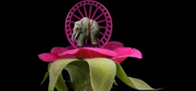 轮回Mitoza汉化版图2