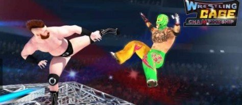 摔跤之笼冠军图1