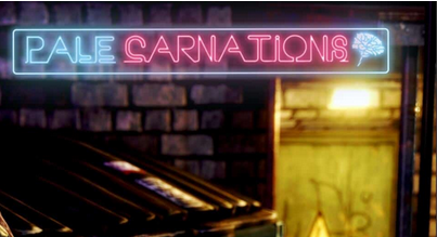 康乃馨俱乐部安卓汉化版图2