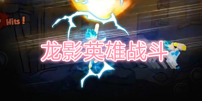 龙影英雄战斗图2