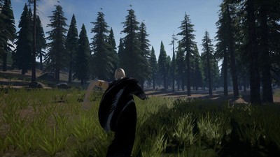 乌鸦模拟器中文版图2