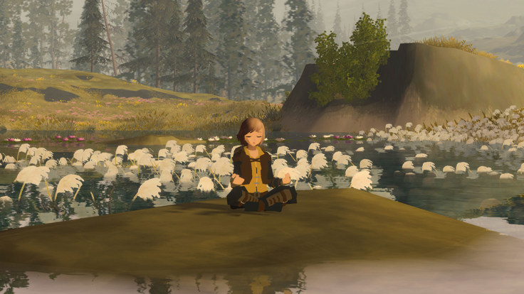 wilderless荒野图6