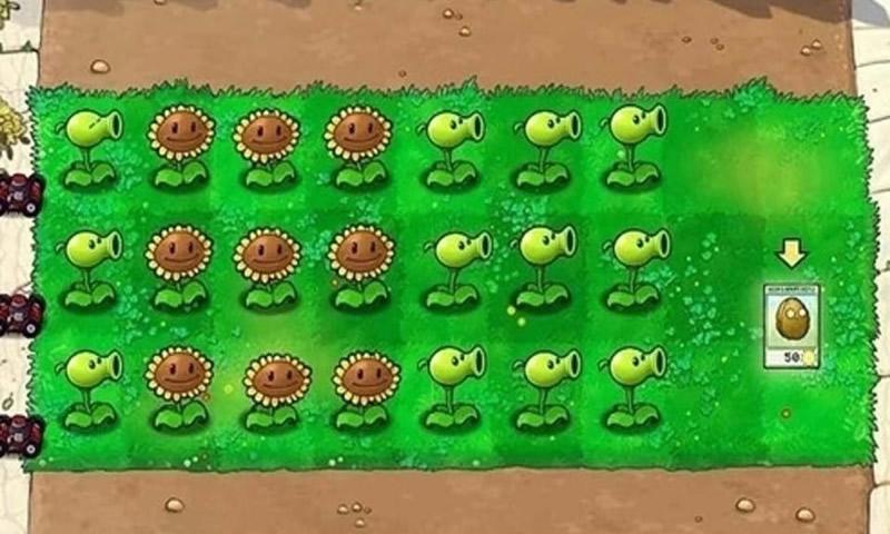 PVZbetasite贝塔版图3