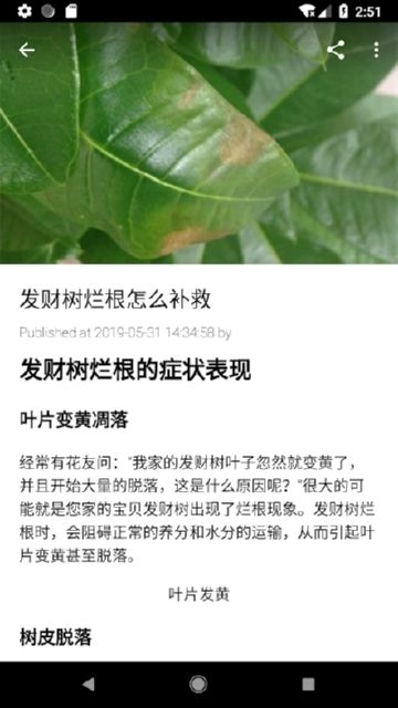 花卉园艺百科图1