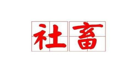 模拟社畜的手游盘点