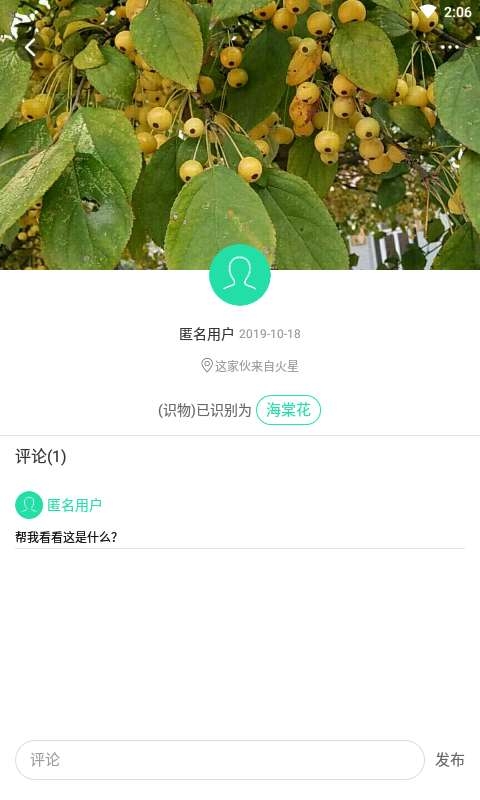 趣植物图2