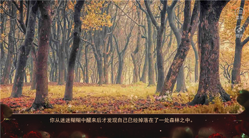 快穿像蔷薇一样锋利图4