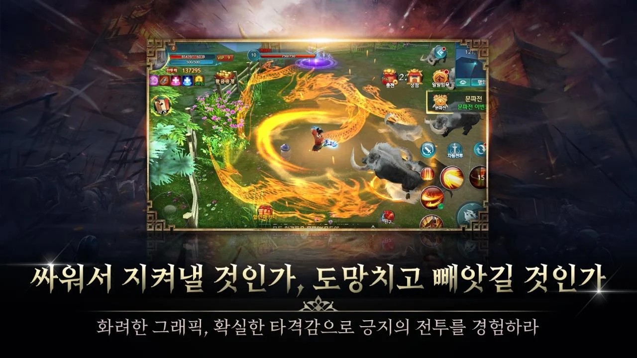 禁卫军皇帝骑士团图2